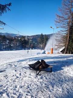IMG_20220107_114730.jpg