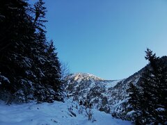 IMG_20220107_144121.jpg
