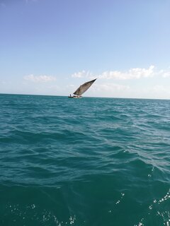 IMG_20190703_141804.jpg