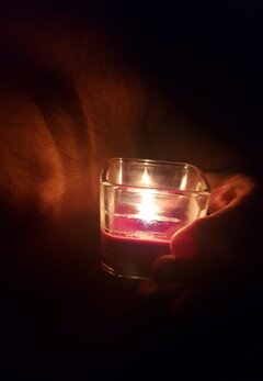 20220105_211827.jpg