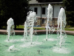 DSCN4417.JPG