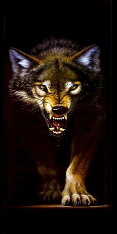 wolf-d9e2f23c-997a-3dd0-9854-ca20485d7ef1.jpg