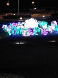 IMG_20220108_203611429.jpg