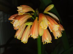 20220108_214955.jpg