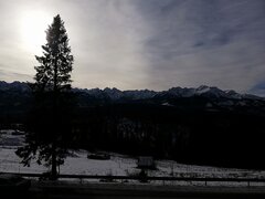 IMG_20220108_105700.jpg