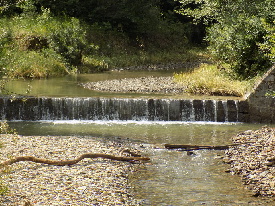 DSCN4344.JPG - zmyslowy74