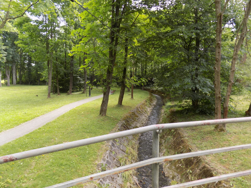 DSCN4319.JPG - zmyslowy74