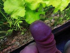 IMG_20220103_105058.jpg