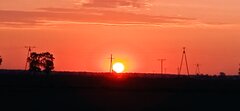 IMG_20211005_174951_1.jpg