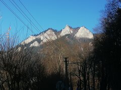 IMG_20220107_104320.jpg