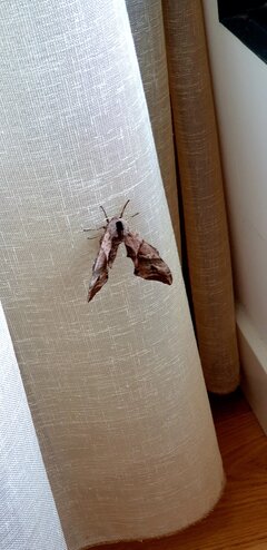 20210805_210934.jpg