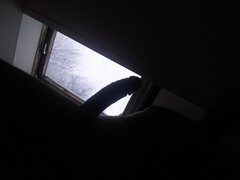 20220116_095920.jpg