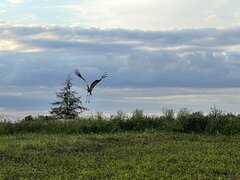 D05E0F76-ED3F-46F4-9625-986C4DE8D756.jpeg