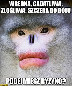 9CB435F1-E216-42E7-B8D1-860A5BA15B40.jpeg