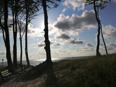 IMG_20210719_182702.jpg