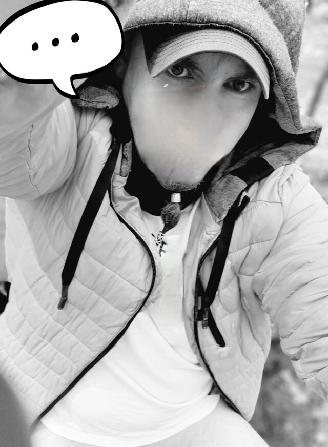 Hanyszsosnowca