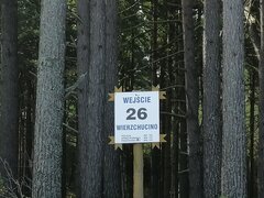 IMG_20200830_094957.jpg