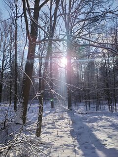 IMG_20220122_111016.jpg