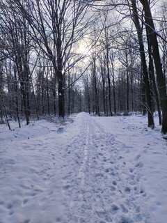 IMG_20220122_110422.jpg