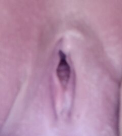 IMG_20220124_065921.jpg