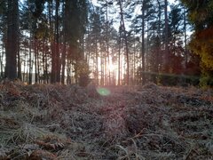20220115_151649.jpg