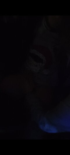 IMG_20220124_071613.jpg