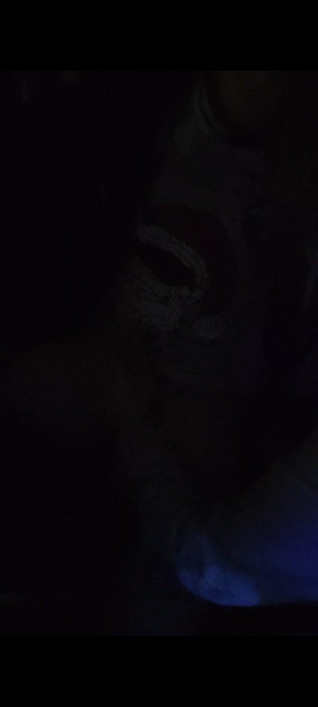 zygzak666