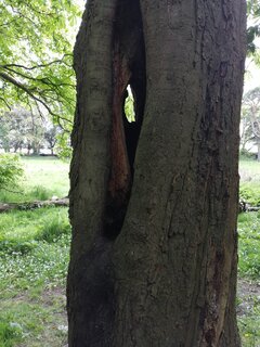 IMG_20210501_135147.jpg
