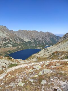 IMG_20210909_125307.jpg