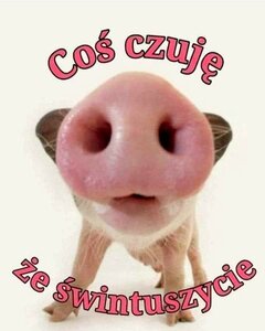 FB_IMG_1643202208237.jpg