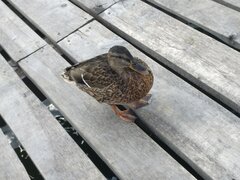 IMG_20190917_135054.jpg