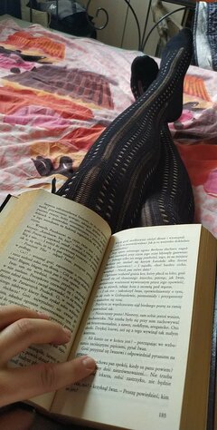 received_2760827484203775.jpeg