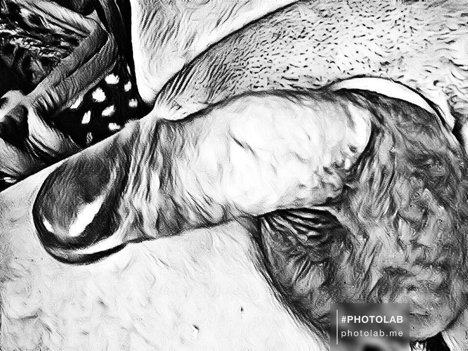 62677768-3b9c-4109-893c-1a54829b95a9.jpg - dino8