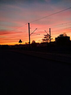 IMG_20211026_070635.jpg