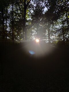IMG_20211003_163930.jpg