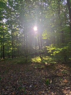 IMG_20211003_161000.jpg