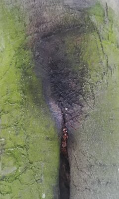 IMG_20220129_182652.jpg
