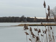20220206_085117.jpg
