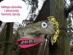 IMG_20220207_080823.jpg