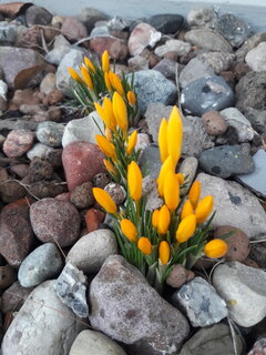 20220205_103921.jpg