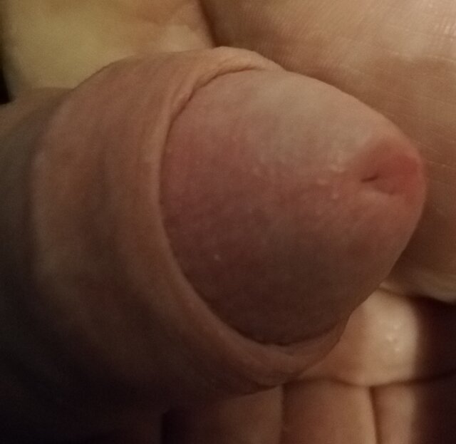 Zdecynorma