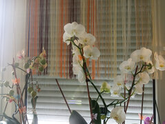 IMG_20220210_135104.jpg