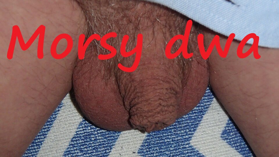 Zbiornik 1649 - Morsy_dwa