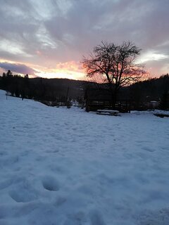 IMG_20220210_165311.jpg