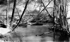 IMG_2269.JPG
