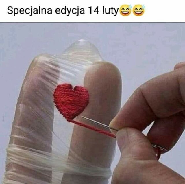 Dodo_sl