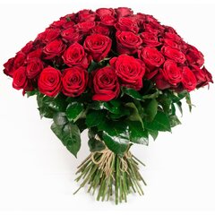 roze.jpg