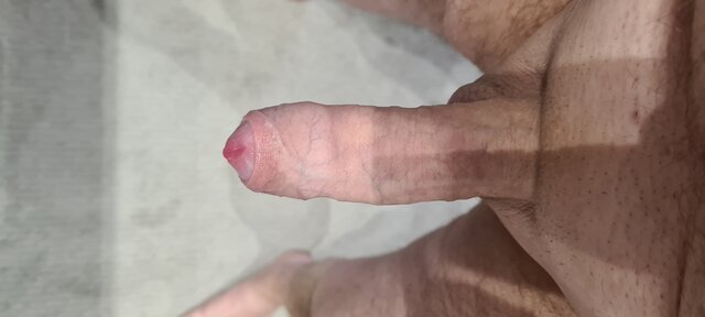 Marek_bb78