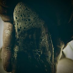 PXL_20211217_004846780~2.jpg
