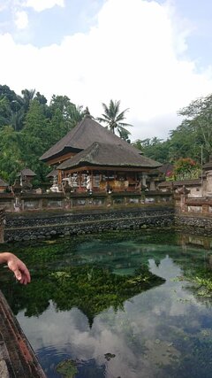 IMG-20190522-WA0018.jpg